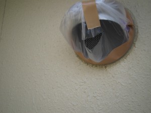IMG_1900