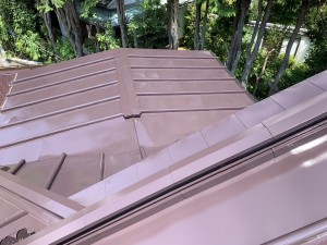 IMG_0355
