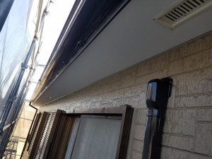 LINE_ALBUM_飯村邸_250603_8